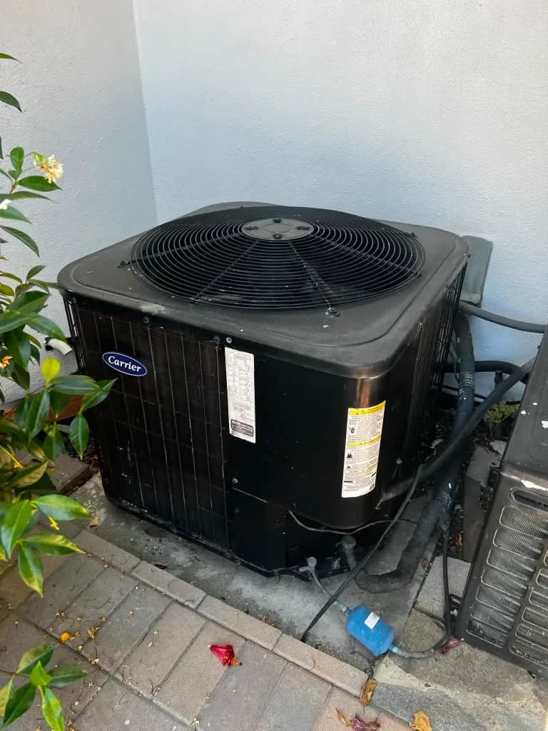 Black Carrier condenser unit installed beside a house next to a flowering shrub